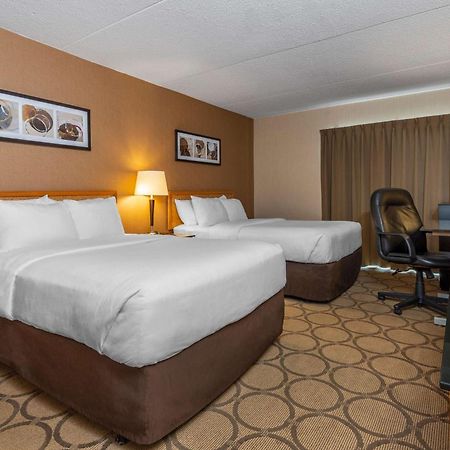 Comfort Inn Campbellton Eksteriør billede