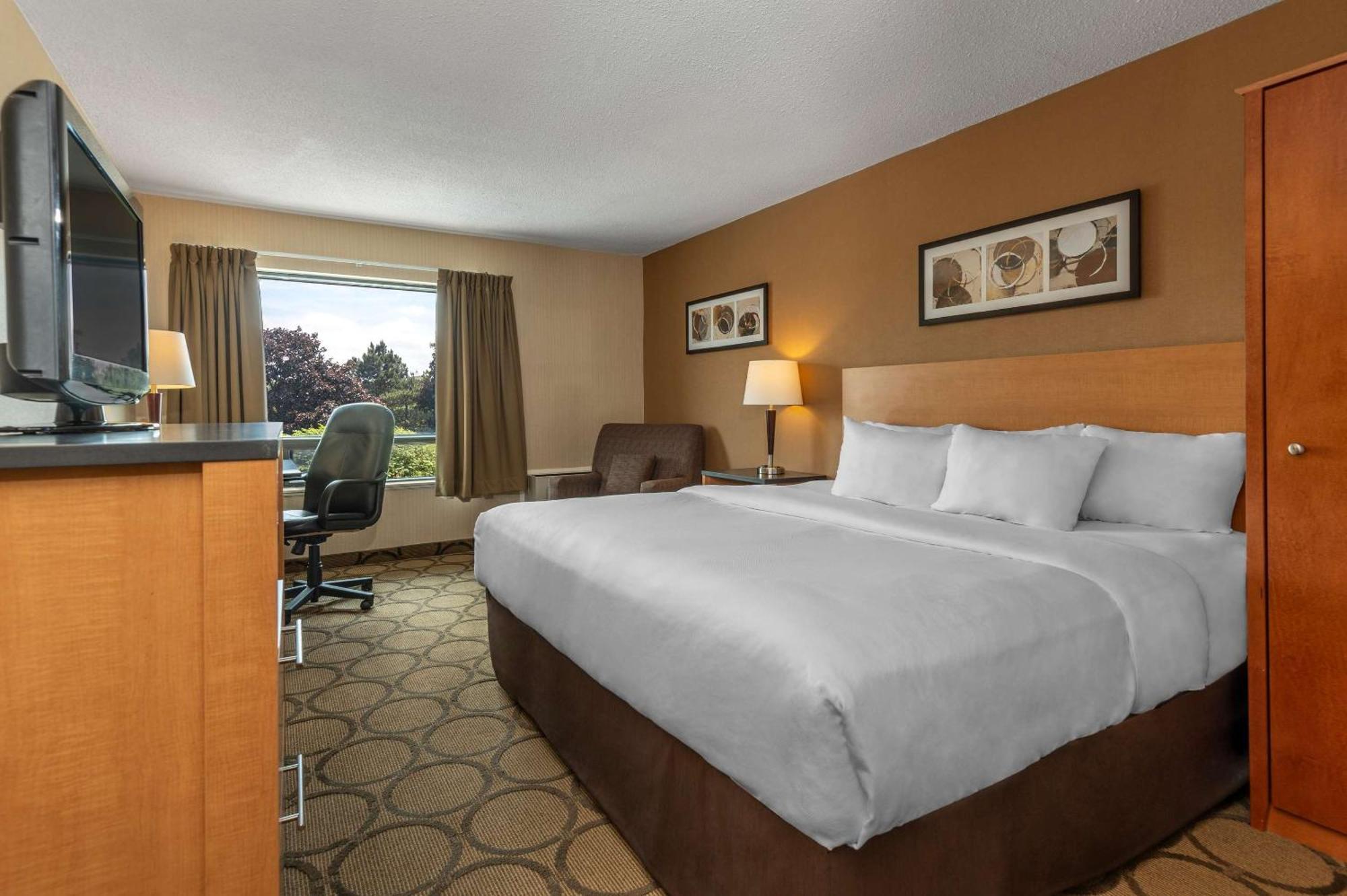 Comfort Inn Campbellton Eksteriør billede